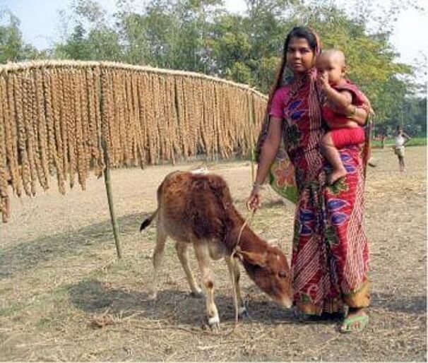 hile-fuer-bangladesh-10-plastische-chirurgie-leipzig-wachsmuth-voelpel.jpg 